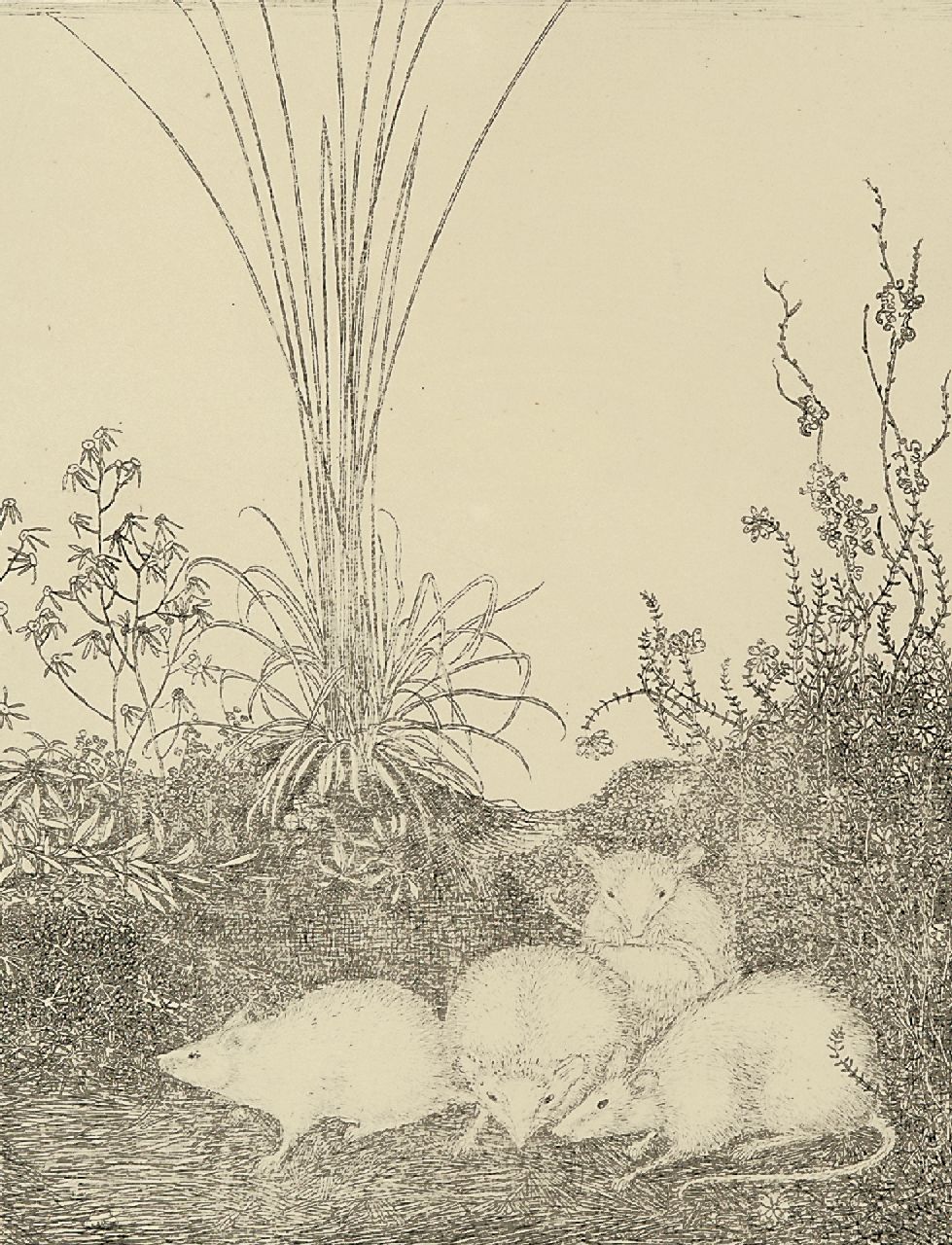 Mankes J. | Jan Mankes, Vier muizen, ets op papier 19,5 x 14,5 cm, te dateren 1916 Mankes J. | Jan Mankes, Vier muizen, ets op papier 19,5 x 14,5 cm, te dateren 1916