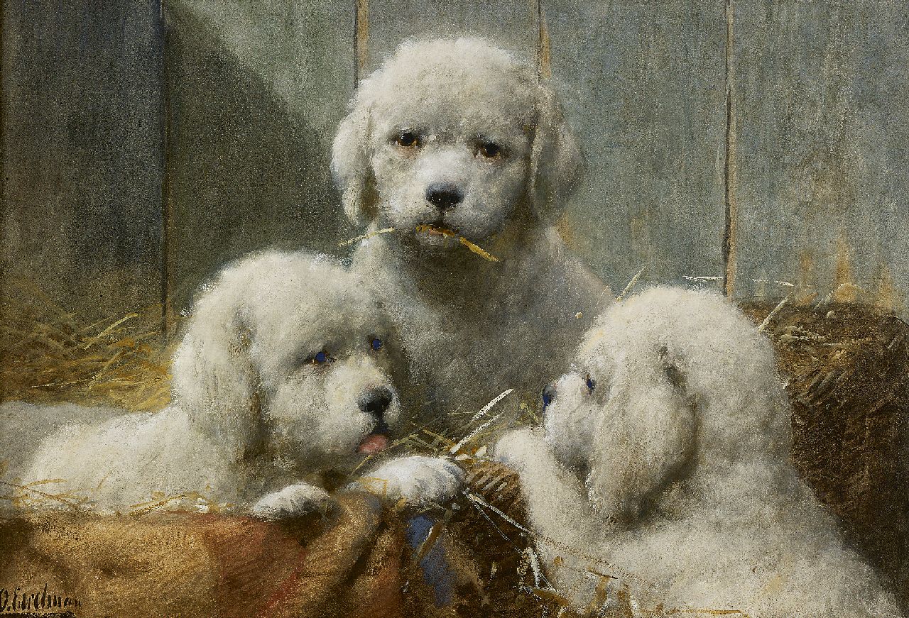 Eerelman O. | Otto Eerelman, Drie pups in een mand, aquarel op papier 36,0 x 53,5 cm, gesigneerd linksonder Eerelman O. | Otto Eerelman, Drie pups in een mand, aquarel op papier 36,0 x 53,5 cm, gesigneerd linksonder