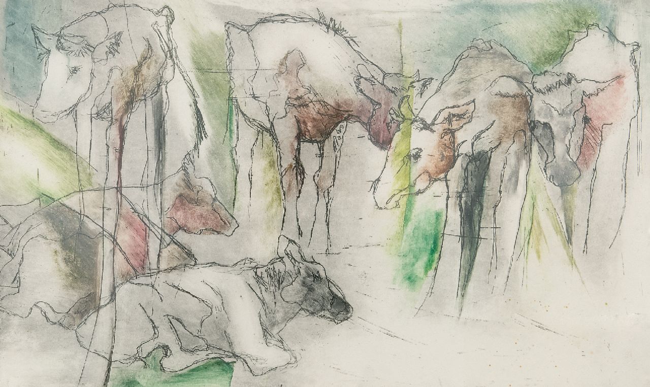 Stoel E.  | E. Stoel | Grafiek te koop aangeboden | Studies van koeien, ets op papier 23,5 x 39,5 cm, gesigneerd rechtsonder (in potlood)