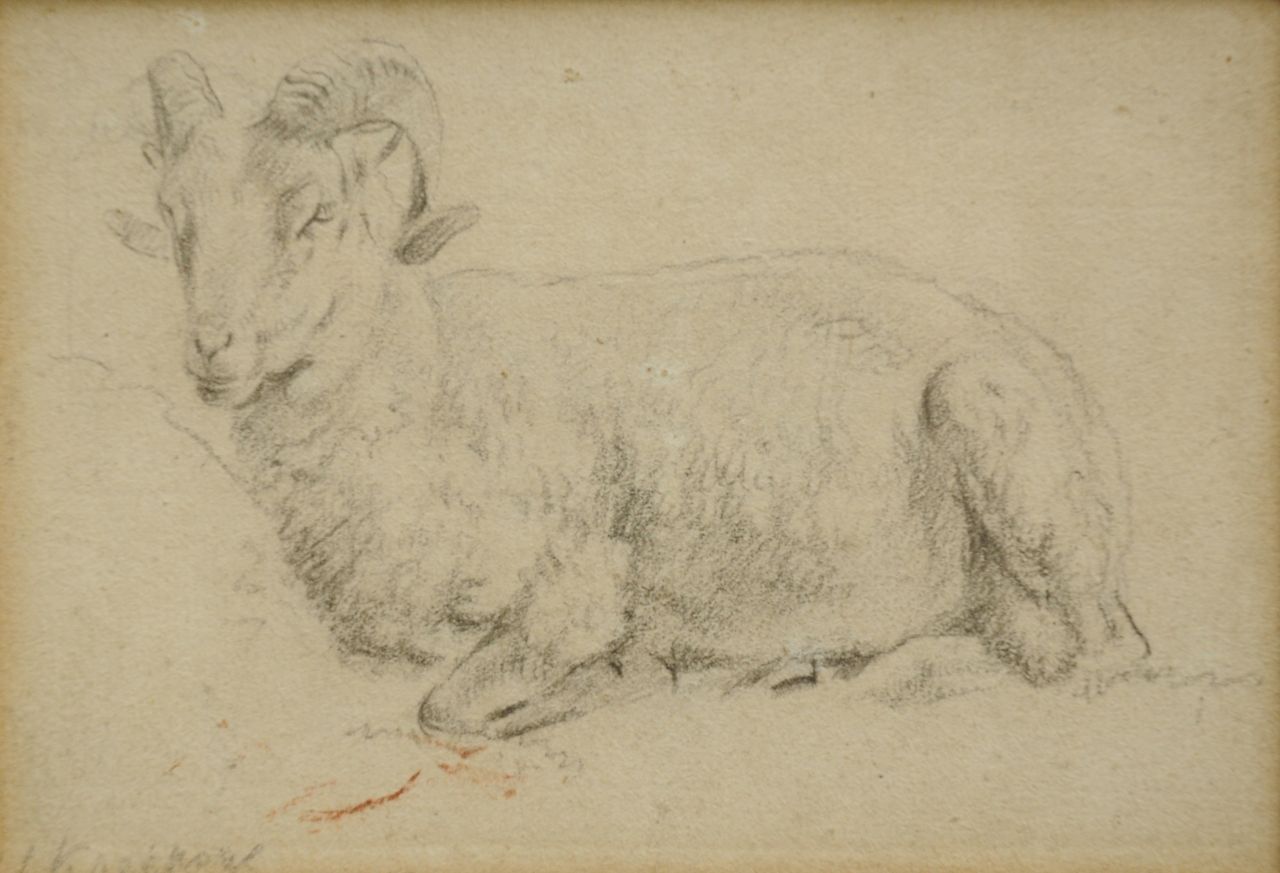 Koekkoek B.C. | Barend Cornelis Koekkoek, Studie van een ram, krijt op papier 7,2 x 10,4 cm, gesigneerd linksonder Koekkoek B.C. | Barend Cornelis Koekkoek, Studie van een ram, krijt op papier 7,2 x 10,4 cm, gesigneerd linksonder
