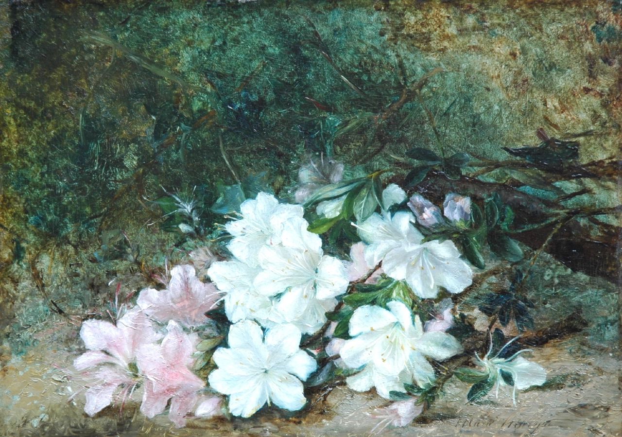 Molijn M.A.F. | Maria Aletta Femmigje 'Marie' Molijn, Azaleatak, olieverf op paneel 29,4 x 41,7 cm, gesigneerd rechtsonder Molijn M.A.F. | Maria Aletta Femmigje 'Marie' Molijn, Azaleatak, olieverf op paneel 29,4 x 41,7 cm, gesigneerd rechtsonder