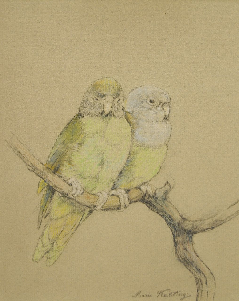 Kelting M. | Maria 'Marie' Kelting, Groene parkieten op een tak, pastel op papier 19,7 x 16,4 cm, gesigneerd rechtsonder Kelting M. | Maria 'Marie' Kelting, Groene parkieten op een tak, pastel op papier 19,7 x 16,4 cm, gesigneerd rechtsonder