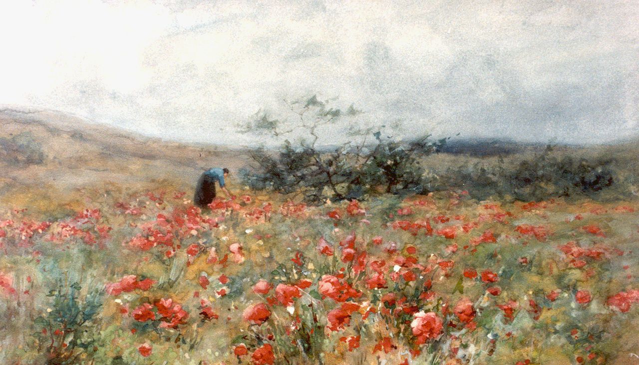 Wijsmuller J.H. | Jan Hillebrand Wijsmuller, Veld met klaprozen, aquarel op papier 31,5 x 51,5 cm Wijsmuller J.H. | Jan Hillebrand Wijsmuller, Veld met klaprozen, aquarel op papier 31,5 x 51,5 cm