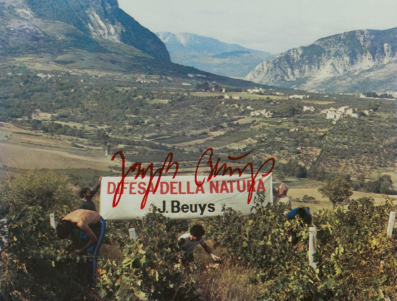 Beuys J.H. | 'Joseph' Heinrich Beuys | Grafiek te koop aangeboden | Difesa della Natura, kleurenfoto 15,0 x 20,0 cm, gesigneerd middenonder en te dateren 1984 Beuys J.H. | 'Joseph' Heinrich Beuys | Grafiek te koop aangeboden | Difesa della Natura, kleurenfoto 15,0 x 20,0 cm, gesigneerd middenonder en te dateren 1984
