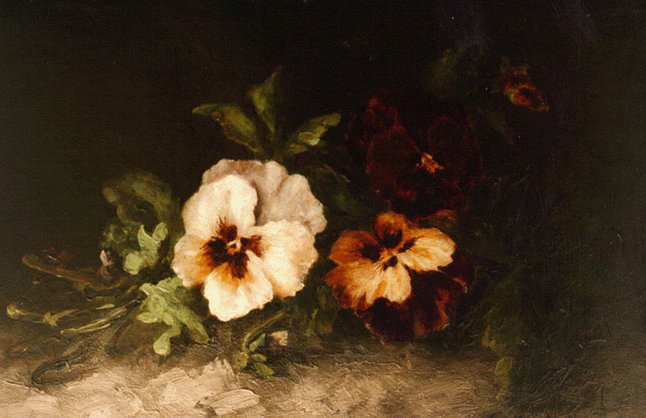 Meijer M. | Margaret Meijer, Viooltjes, olieverf op doek 27,5 x 40,0 cm, gesigneerd rechtsonder Meijer M. | Margaret Meijer, Viooltjes, olieverf op doek 27,5 x 40,0 cm, gesigneerd rechtsonder