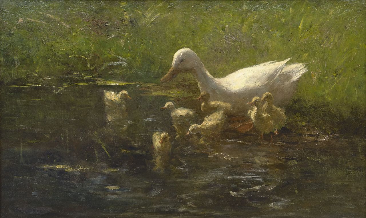 Maris W.  | Willem Maris, Moedereend met kuikens, olieverf op doek 55,3 x 90,3 cm, gesigneerd linksonder