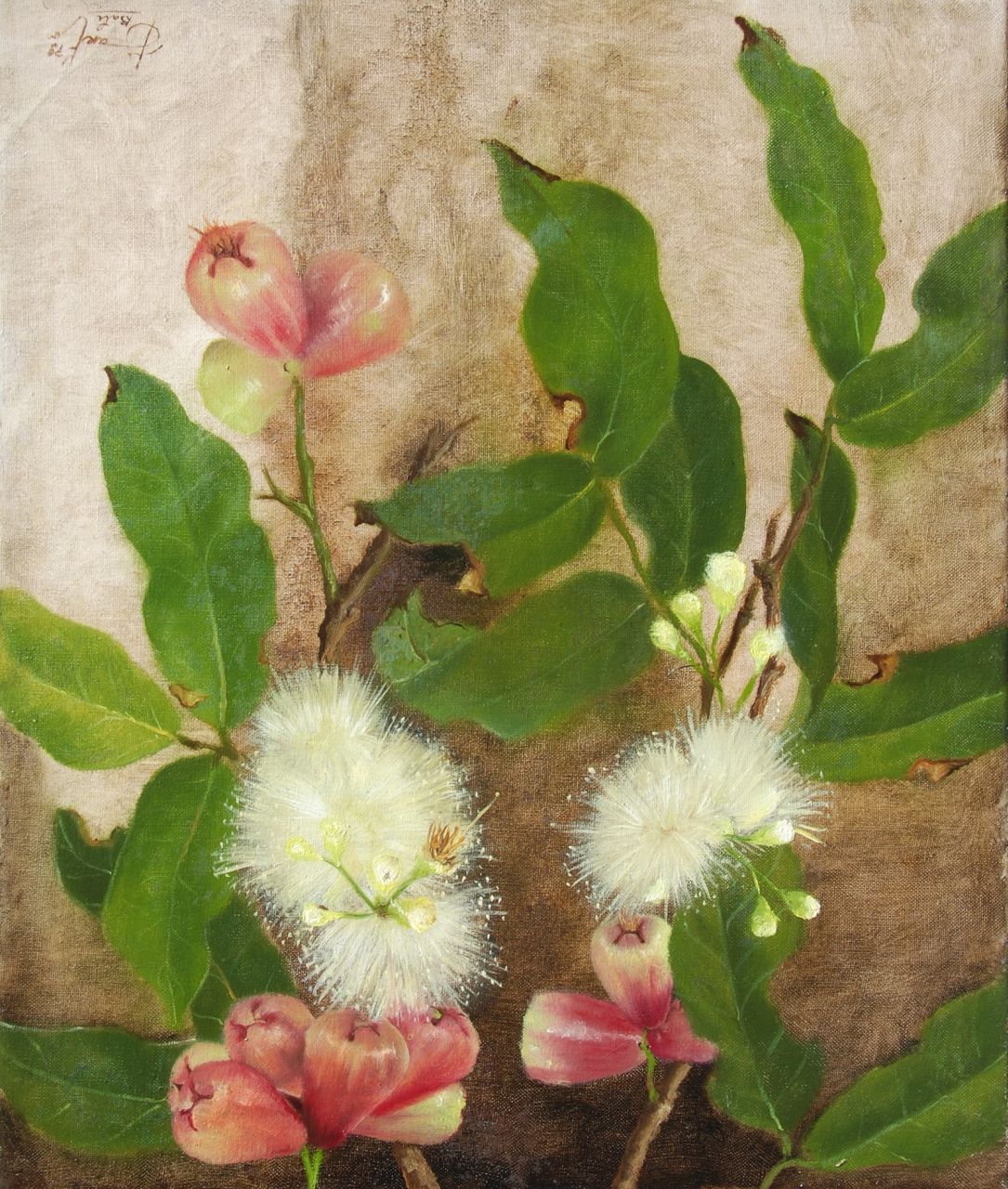 Jarto   | Jarto, Bloeiende zijdeboom, olieverf op doek 60,3 x 50,2 cm, gesigneerd rechtsonder en gedateerd '79