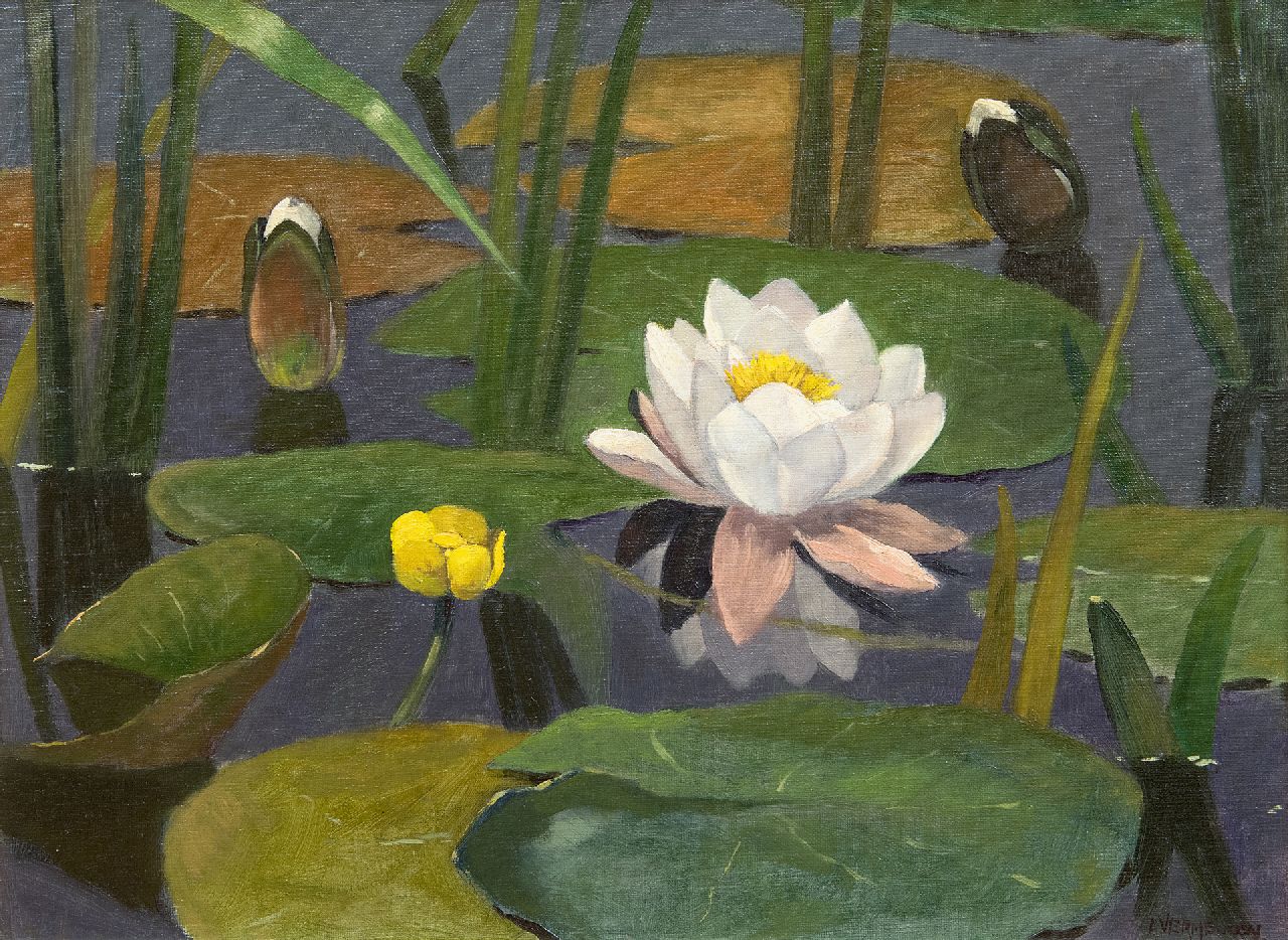 Vermeulen A.  | Adriaan Vermeulen, Waterlelies, olieverf op doek 30,4 x 40,7 cm, gesigneerd rechtsonder