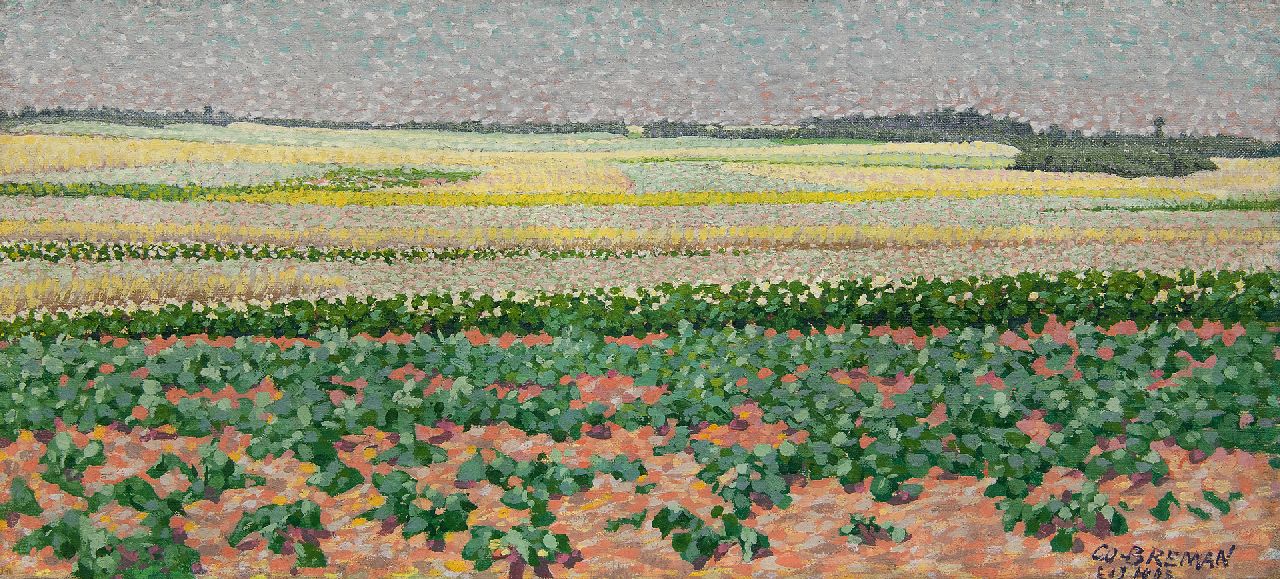 Breman A.J.  | Ahazueros Jacobus 'Co' Breman | Schilderijen te koop aangeboden | Zomerlandschap met aardappel- en boekweitvelden in Laren, olieverf op doek 18,7 x 40,5 cm, gesigneerd rechtsonder en gedateerd 'L 1 7 1903'