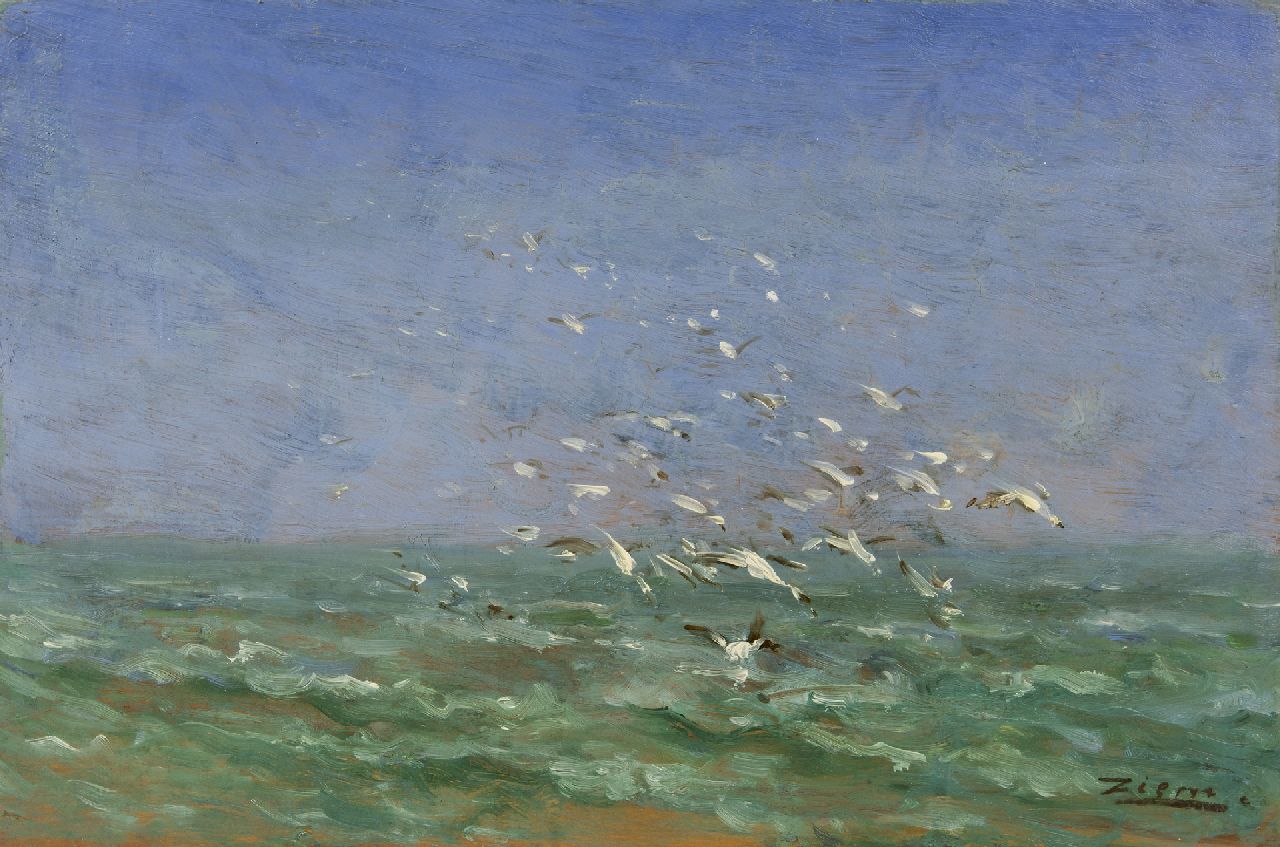 Ziem F.F.G.P.  | 'Félix' François Georges Philibert Ziem, Les mouettes, olieverf op paneel 22,1 x 33,5 cm, gesigneerd rechtsonder