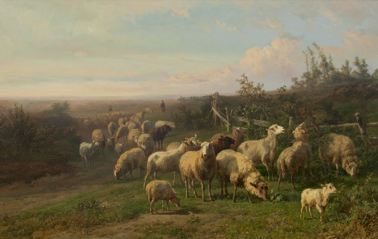 Tom J.B.  | Jan Bedijs Tom, Schaapskudde in weids heidelandschap, olieverf op paneel 60,3 x 94,0 cm, gesigneerd linksonder