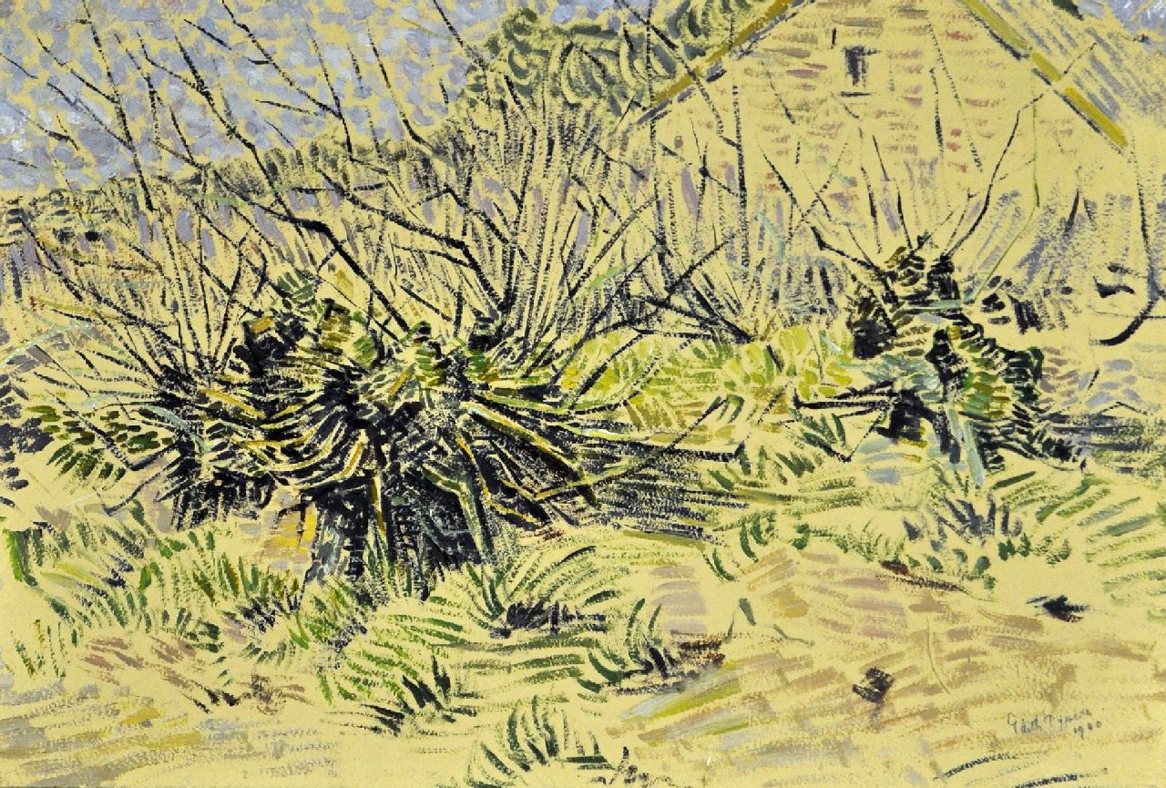 Pijpers E.E.  | 'Edith' Elizabeth Pijpers | Schilderijen te koop aangeboden | Boomstronken, olieverf op papier 34,8 x 51,1 cm, gesigneerd rechtsonder en gedateerd 1920