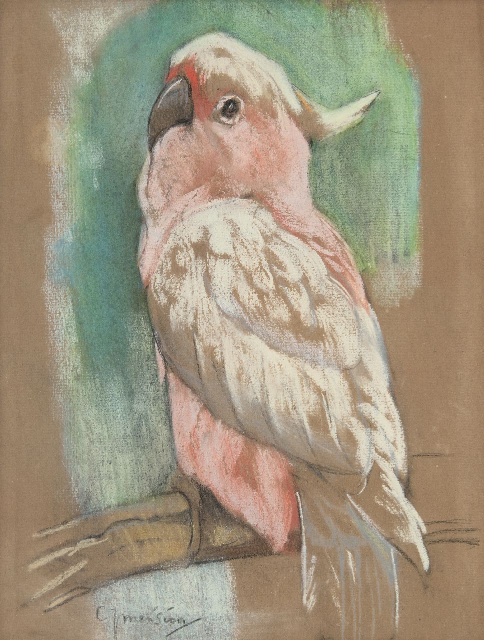 Mension C.J. | Cornelis Jan Mension, Roze kaketoe, pastel op papier 31,1 x 23,7 cm, gesigneerd linksonder Mension C.J. | Cornelis Jan Mension, Roze kaketoe, pastel op papier 31,1 x 23,7 cm, gesigneerd linksonder