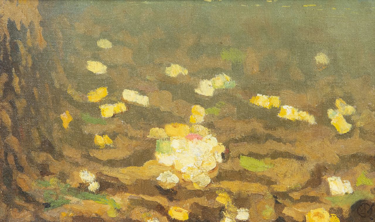 Dijsselhof G.W. | Gerrit Willem Dijsselhof, Zeeanemonen, olieverf op doek 15,4 x 24,0 cm, gesigneerd rechtsonder met monogram Dijsselhof G.W. | Gerrit Willem Dijsselhof, Zeeanemonen, olieverf op doek 15,4 x 24,0 cm, gesigneerd rechtsonder met monogram