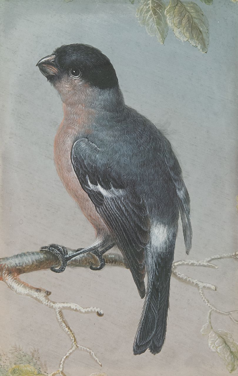Agricola C.L.  | Christoph Ludwig Agricola, Vink, gouache op perkament 15,1 x 9,5 cm