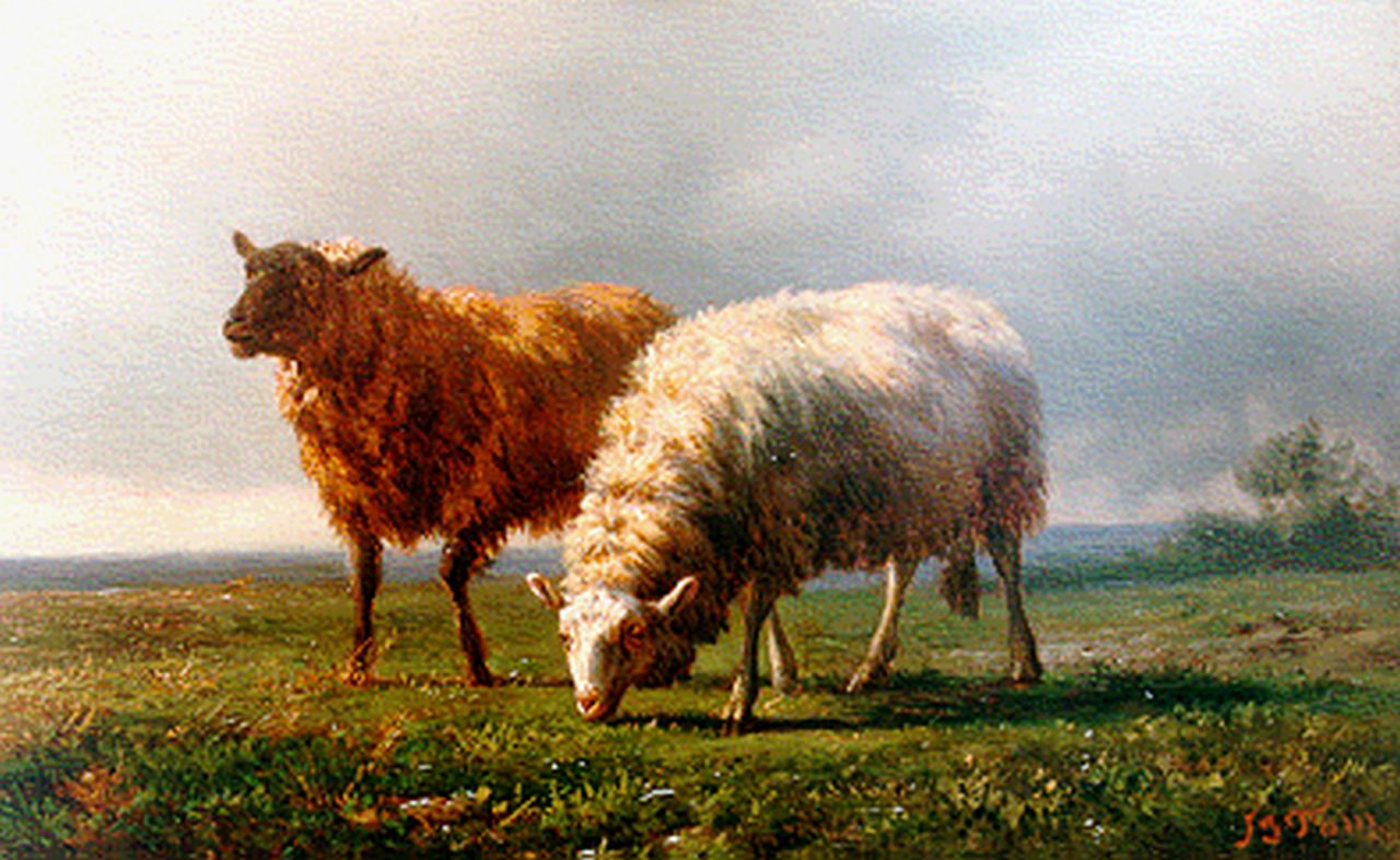 Tom J.B. | Jan Bedijs Tom, Schapen in de wei, olieverf op paneel 14,6 x 22,8 cm, gesigneerd rechtsonder Tom J.B. | Jan Bedijs Tom, Schapen in de wei, olieverf op paneel 14,6 x 22,8 cm, gesigneerd rechtsonder
