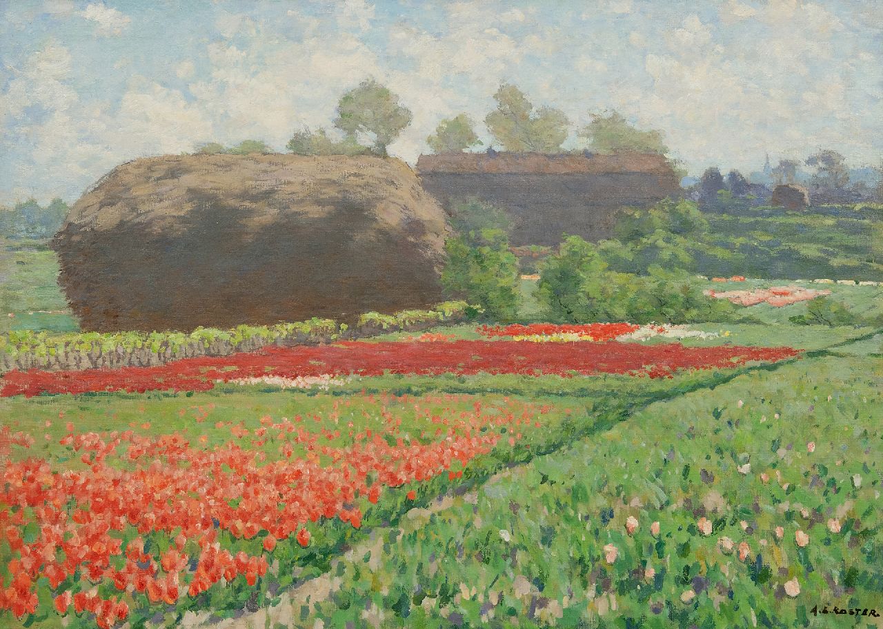 Koster A.L.  | Anton Louis 'Anton' Koster, Late tulpen en riethoop bij Bennebroek, olieverf op doek 50,6 x 70,5 cm, gesigneerd rechtsonder