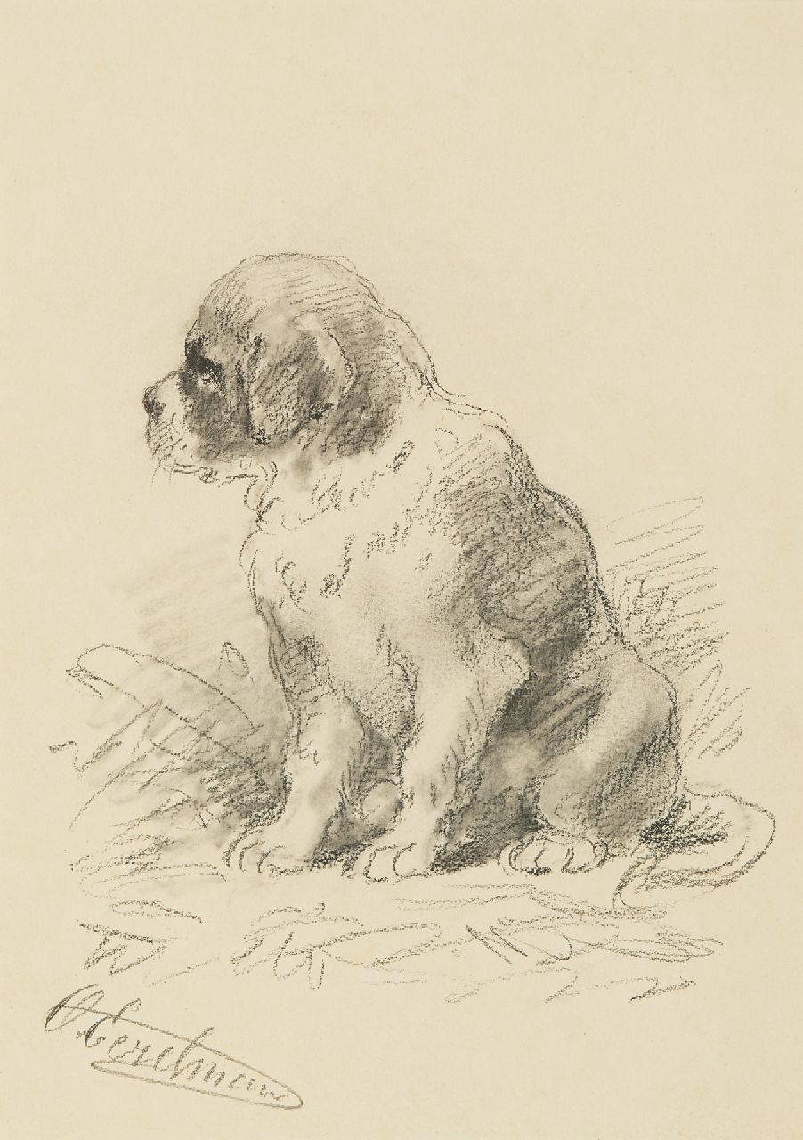 Eerelman O.  | Otto Eerelman, Sint-Bernard pup, zwart krijt en aquarel op papier 24,8 x 17,7 cm, gesigneerd linksonder
