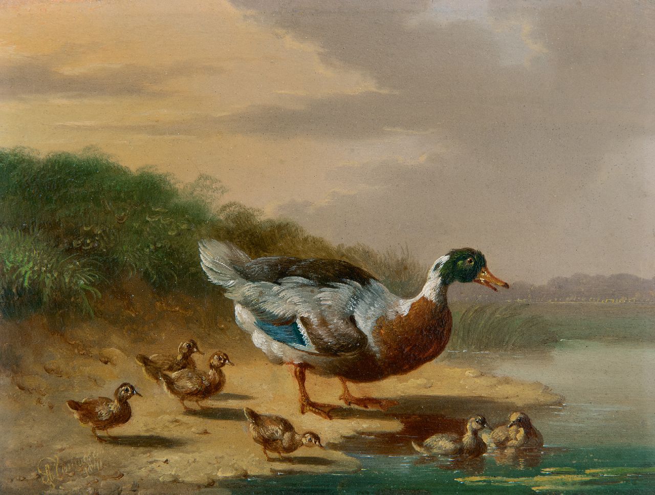 Verhoesen A. | Albertus Verhoesen, Eend met kuikens aan het water, olieverf op paneel 13,2 x 17,0 cm, gesigneerd linksonder en gedateerd 1841 Verhoesen A. | Albertus Verhoesen, Eend met kuikens aan het water, olieverf op paneel 13,2 x 17,0 cm, gesigneerd linksonder en gedateerd 1841