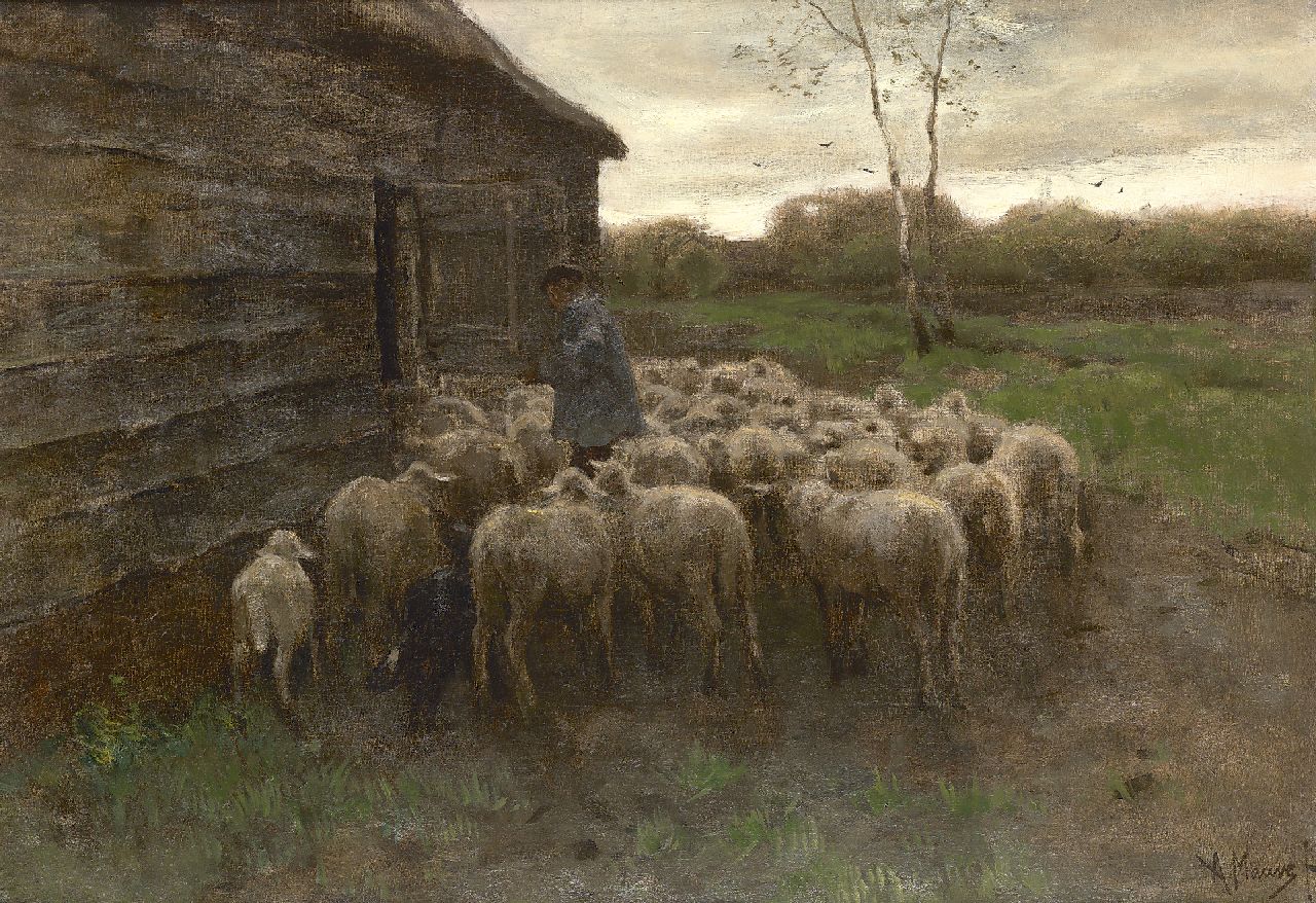 Mauve A. | Anthonij 'Anton' Mauve, Het voeren van de schapen, olieverf op doek 55,5 x 80,7 cm, gesigneerd rechtsonder Mauve A. | Anthonij 'Anton' Mauve, Het voeren van de schapen, olieverf op doek 55,5 x 80,7 cm, gesigneerd rechtsonder
