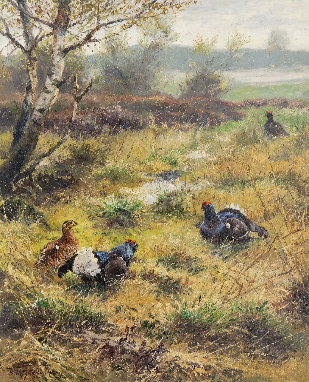 Buddenberg W.H.F.  | 'Wilhelm' Hermann Friedrich Buddenberg | Schilderijen te koop aangeboden | Korhoenders op de hei, olieverf op doek 50,1 x 40,0 cm, gesigneerd linksonder