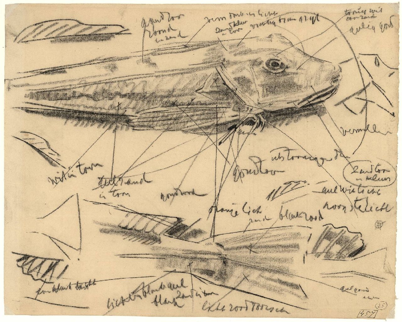 Dijsselhof G.W. | Gerrit Willem Dijsselhof | Aquarellen en tekeningen te koop aangeboden | Studie van ponen, zwart krijt op papier 28,2 x 35,1 cm, gesigneerd linksonder met monogram Dijsselhof G.W. | Gerrit Willem Dijsselhof | Aquarellen en tekeningen te koop aangeboden | Studie van ponen, zwart krijt op papier 28,2 x 35,1 cm, gesigneerd linksonder met monogram