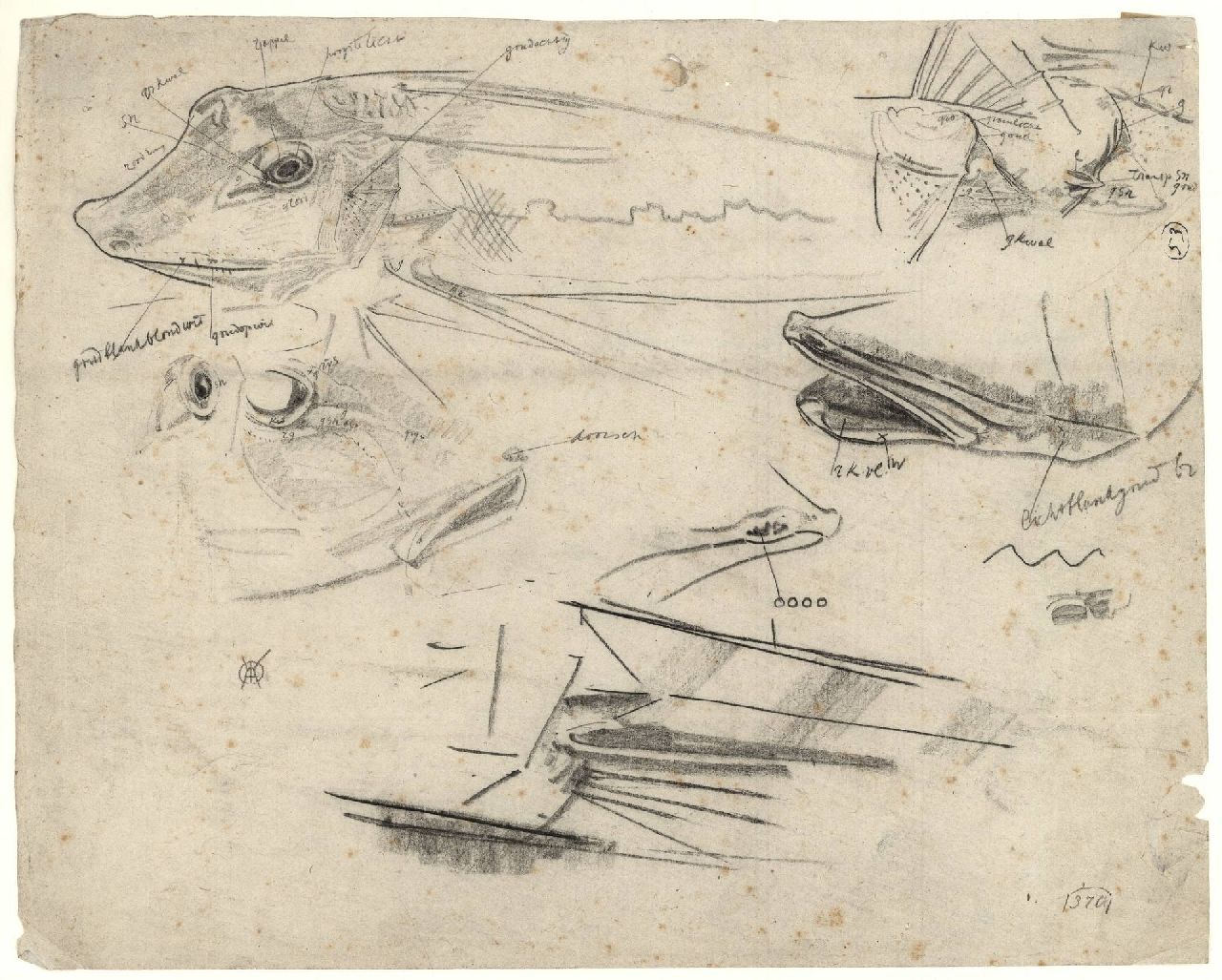 Dijsselhof G.W. | Gerrit Willem Dijsselhof | Aquarellen en tekeningen te koop aangeboden | Studie van ponen, zwart krijt op papier 26,8 x 33,5 cm, gesigneerd rechtsonder met monogram Dijsselhof G.W. | Gerrit Willem Dijsselhof | Aquarellen en tekeningen te koop aangeboden | Studie van ponen, zwart krijt op papier 26,8 x 33,5 cm, gesigneerd rechtsonder met monogram