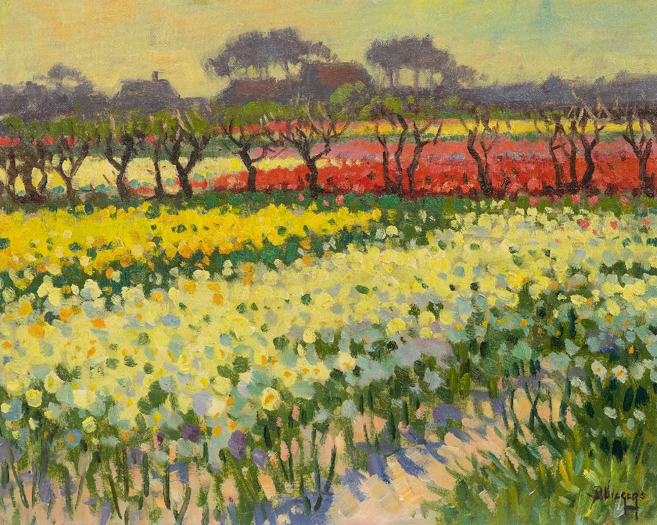 Viegers B.P.  | Bernardus Petrus 'Ben' Viegers, Narcissen- en tulpenvelden in Bakkum, Noord-Holland, olieverf op doek 40,6 x 50,6 cm, gesigneerd rechtsonder