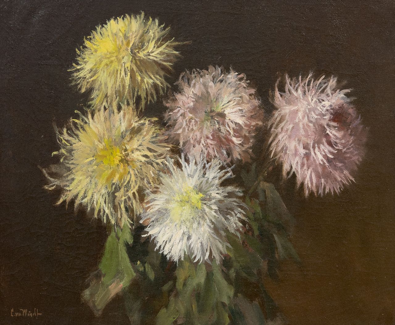 Windt Ch. van der | Christophe 'Chris' van der Windt | Schilderijen te koop aangeboden | Spinchrysanten, olieverf op doek 45,2 x 55,3 cm, gesigneerd linksonder