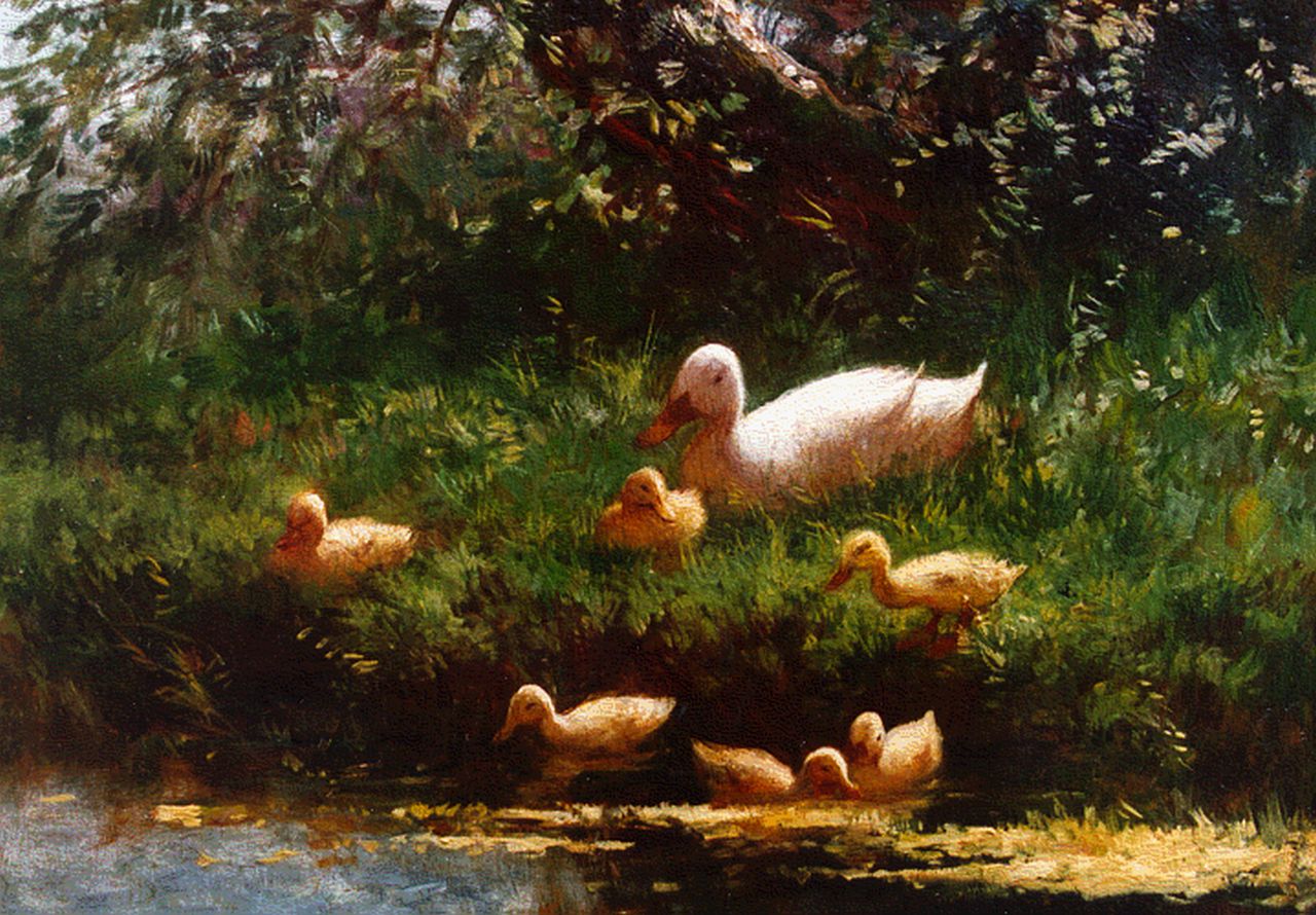 Artz C.D.L. | 'Constant' David Ludovic Artz, Witte moedereend met 6 jongen, olieverf op paneel 17,5 x 23,5 cm, gesigneerd linksonder Artz C.D.L. | 'Constant' David Ludovic Artz, Witte moedereend met 6 jongen, olieverf op paneel 17,5 x 23,5 cm, gesigneerd linksonder