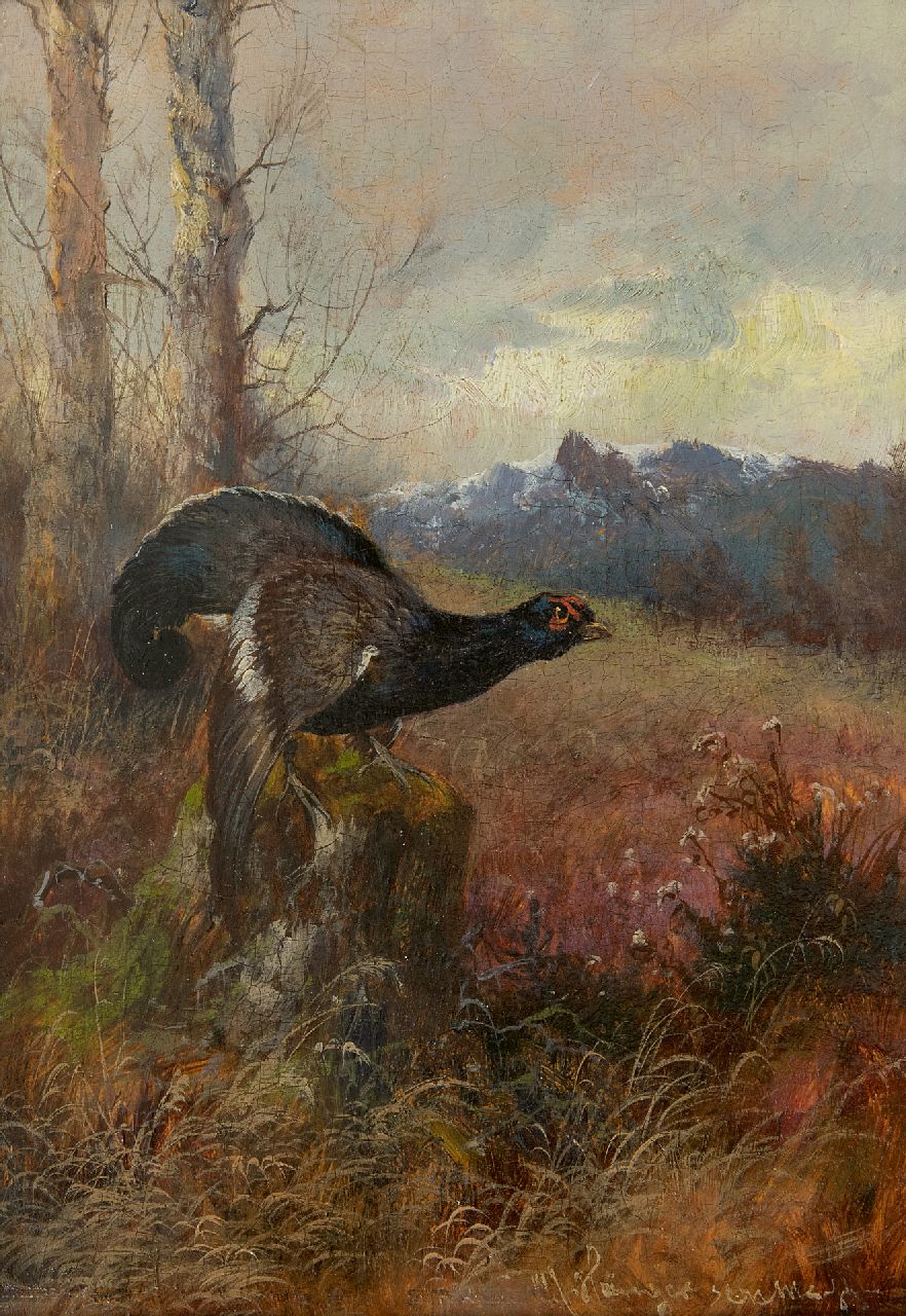 Hänger M. | Max Hänger, Auerhoen naar rechts kijkend (uit een paar), olieverf op paneel 19,7 x 13,8 cm, gesigneerd rechtsonder Hänger M. | Max Hänger, Auerhoen naar rechts kijkend (uit een paar), olieverf op paneel 19,7 x 13,8 cm, gesigneerd rechtsonder