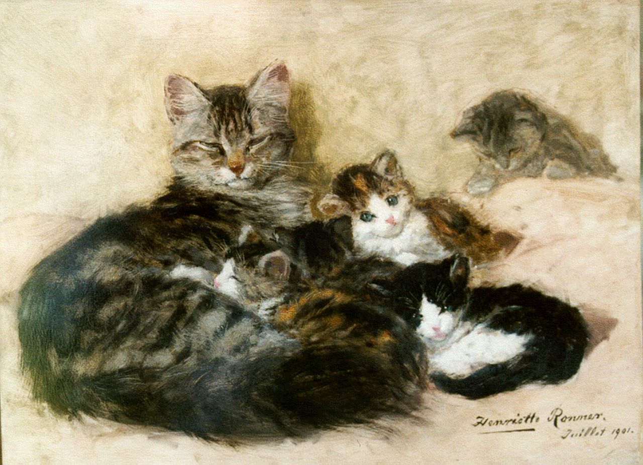 Ronner-Knip H.  | Henriette Ronner-Knip, Moederpoes en haar jongen, olieverf op paneel 33,7 x 45,2 cm, gesigneerd rechtsonder en gedateerd Juillet 1901