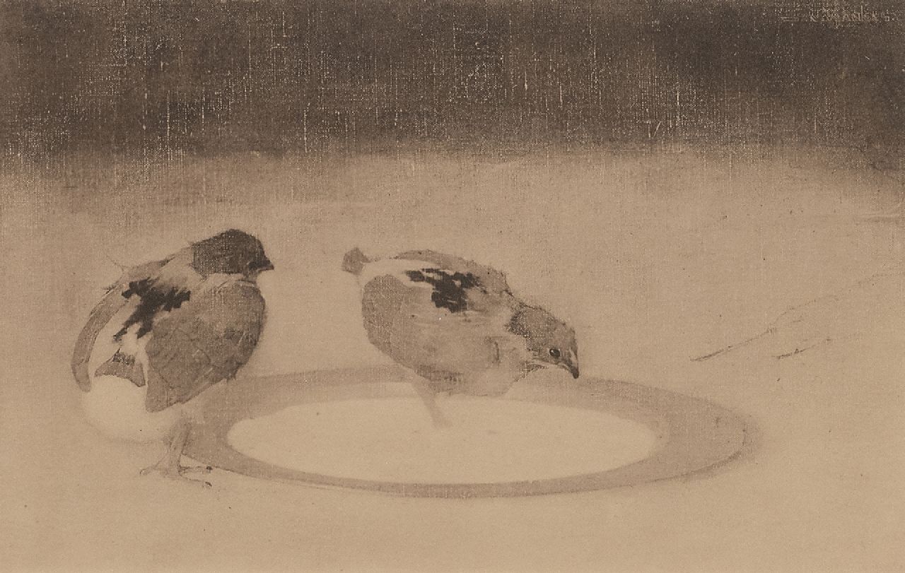 Mankes J. | Jan Mankes, Twee kuikens op een tinnen bord, heliografie 13,0 x 20,0 cm, te dateren 1910 Mankes J. | Jan Mankes, Twee kuikens op een tinnen bord, heliografie 13,0 x 20,0 cm, te dateren 1910