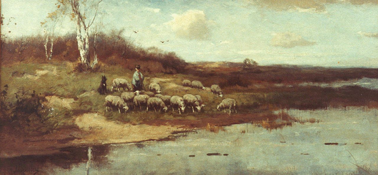 Scherrewitz J.F.C.  | Johan Frederik Cornelis Scherrewitz, Schaapskudde bij het water, olieverf op doek 40,0 x 80,3 cm, gesigneerd linksonder
