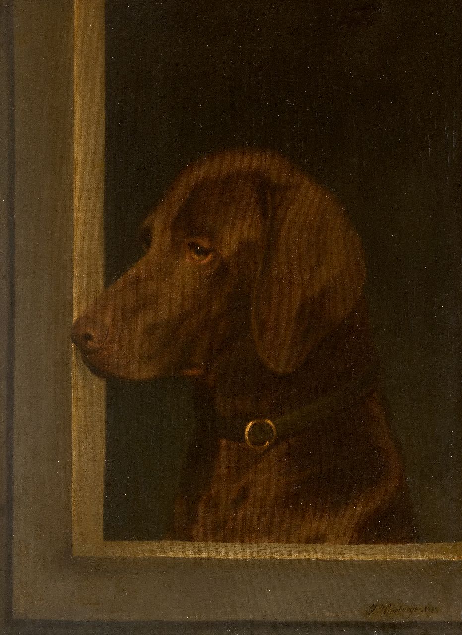 Hamburger J.  | Julius Hamburger, Portret van een jachthond, naar links kijkend, olieverf op doek 52,6 x 42,5 cm, gesigneerd rechtsonder en gedateerd 1883