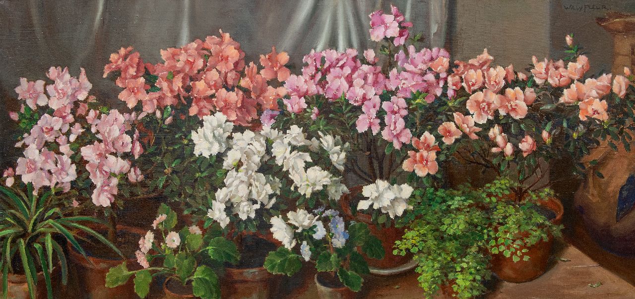 Willy Fleur | Stilleven van bloeiende azalea's op een tafel, olieverf op doek, 60,0 x 119,9 cm, gesigneerd r.b. en zonder lijst Willy Fleur | Stilleven van bloeiende azalea's op een tafel, olieverf op doek, 60,0 x 119,9 cm, gesigneerd r.b. en zonder lijst