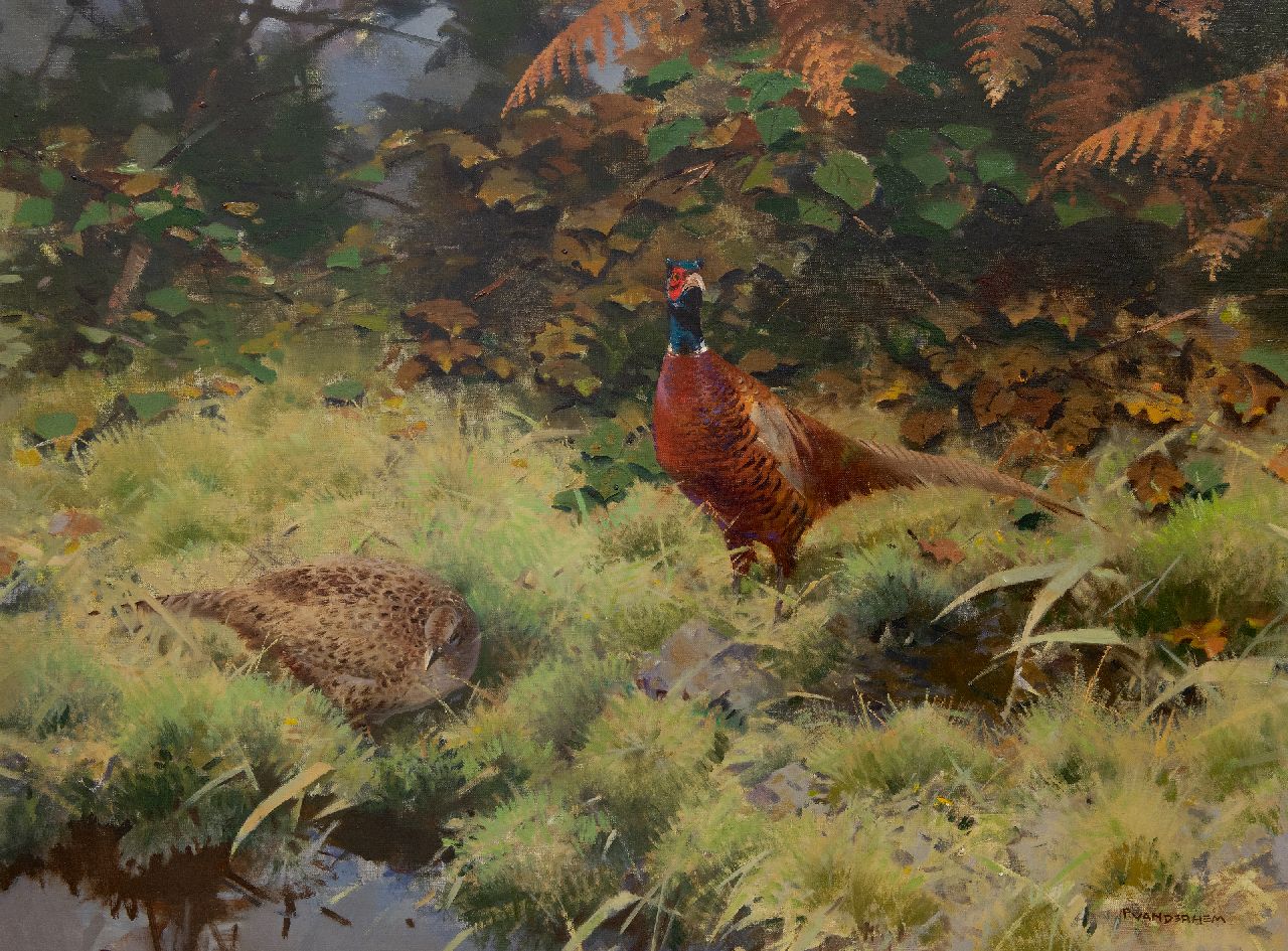 Hem P. van der | Pieter 'Piet' van der Hem | Schilderijen te koop aangeboden | Fazantenkoppel, olieverf op doek 74,8 x 104,0 cm, gesigneerd rechtsonder
