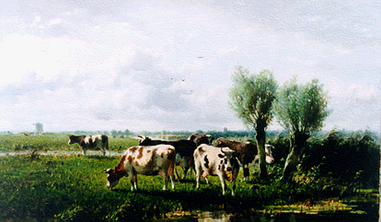 Westerbeek C. | Cornelis Westerbeek, Koeien in Hollands landschap, olieverf op doek 56,8 x 96,8 cm, gesigneerd linksonder en gedateerd '96 Westerbeek C. | Cornelis Westerbeek, Koeien in Hollands landschap, olieverf op doek 56,8 x 96,8 cm, gesigneerd linksonder en gedateerd '96