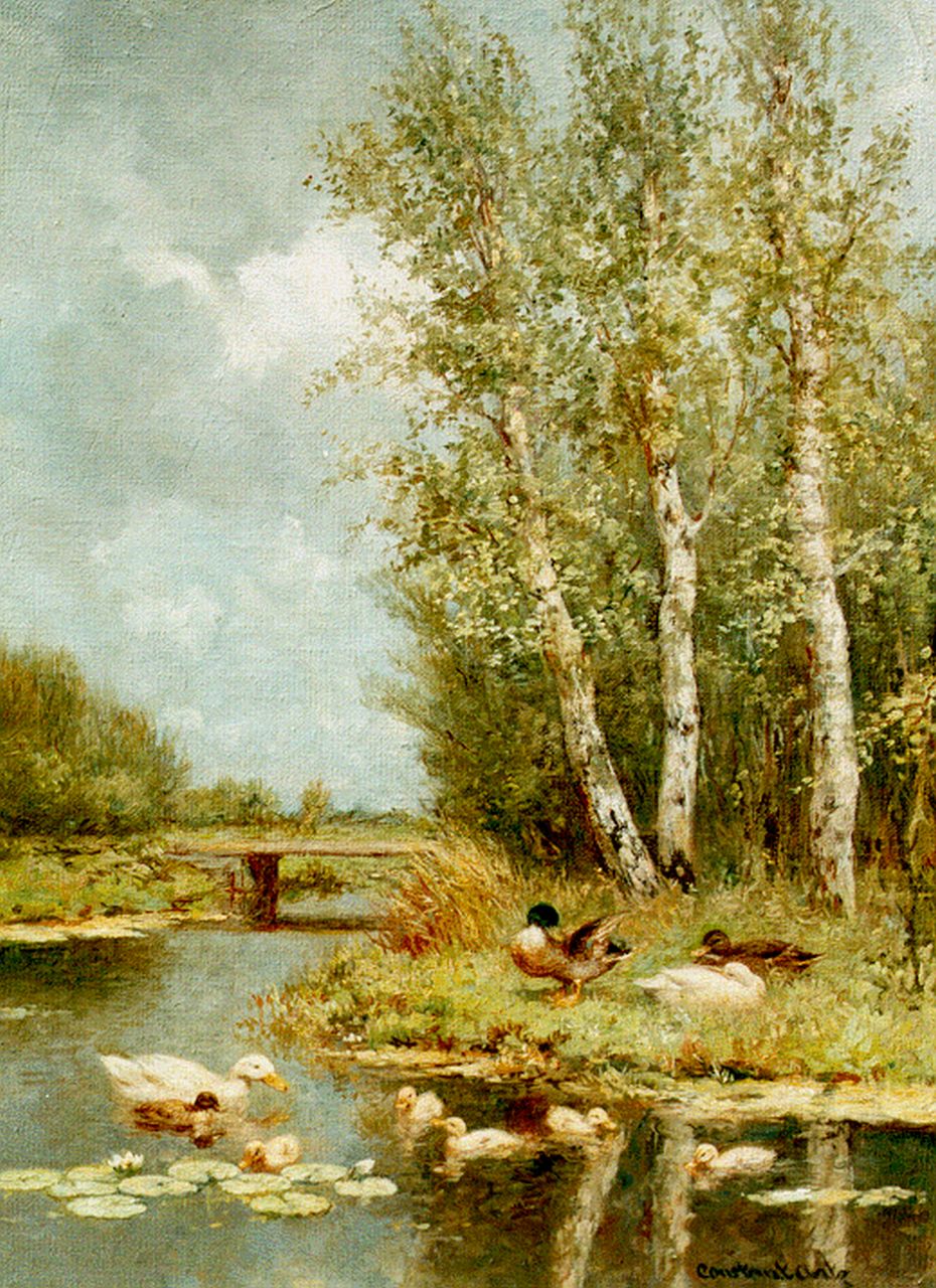Artz C.D.L.  | 'Constant' David Ludovic Artz, Eendenfamilie bij berkenbomen, olieverf op doek 40,5 x 33,0 cm, gesigneerd rechtsonder