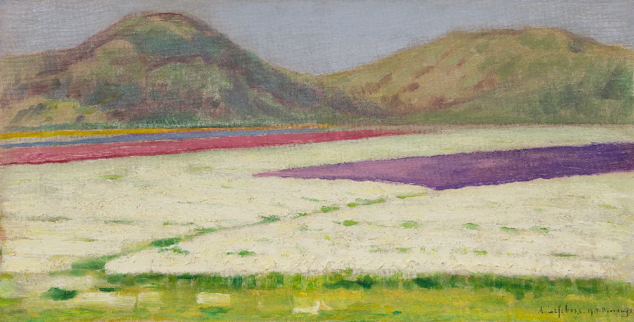 Lefebvre A.  | Albrecht 'Albert' Lefebvre, Bollenvelden bij Noordwijk, olieverf op doek 32,7 x 62,3 cm, gesigneerd rechtsonder en gedateerd 1918