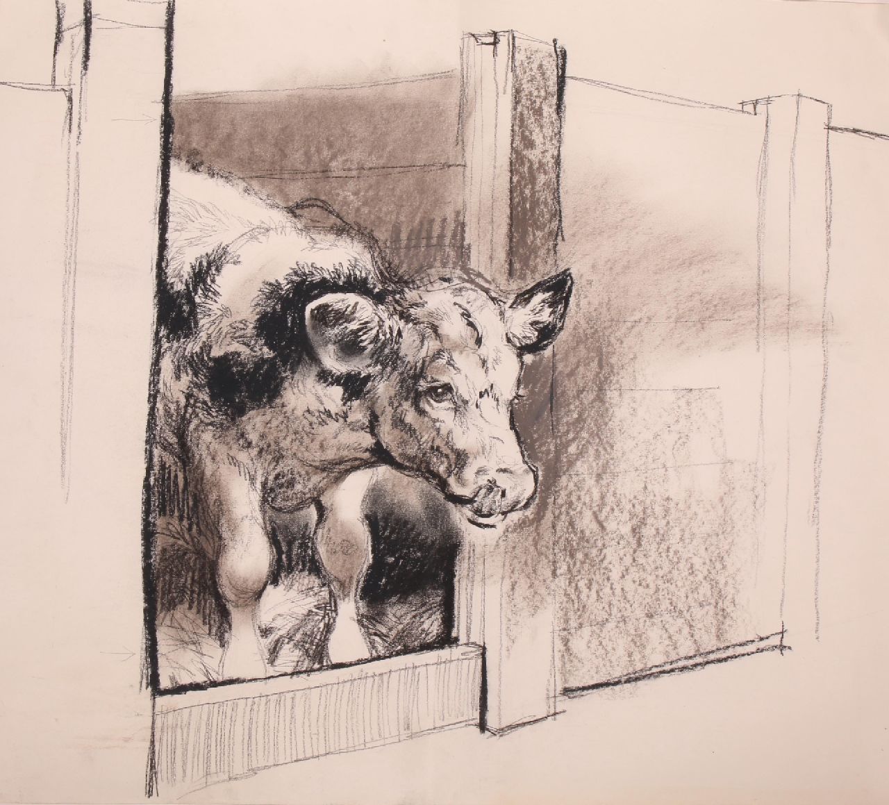 Poortvliet R.  | Rien Poortvliet, Kalfje, houtskool op papier 50,0 x 64,9 cm