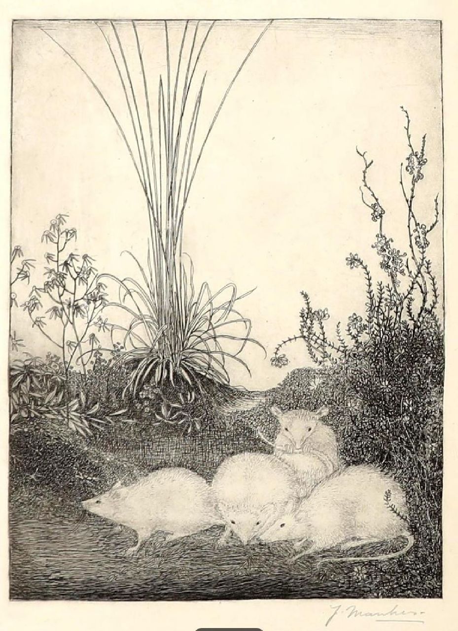 Mankes J. | Jan Mankes, Vier muizen, ets 23,6 x 15,8 cm, gesigneerd rechtsonder en te dateren 1916 Mankes J. | Jan Mankes, Vier muizen, ets 23,6 x 15,8 cm, gesigneerd rechtsonder en te dateren 1916