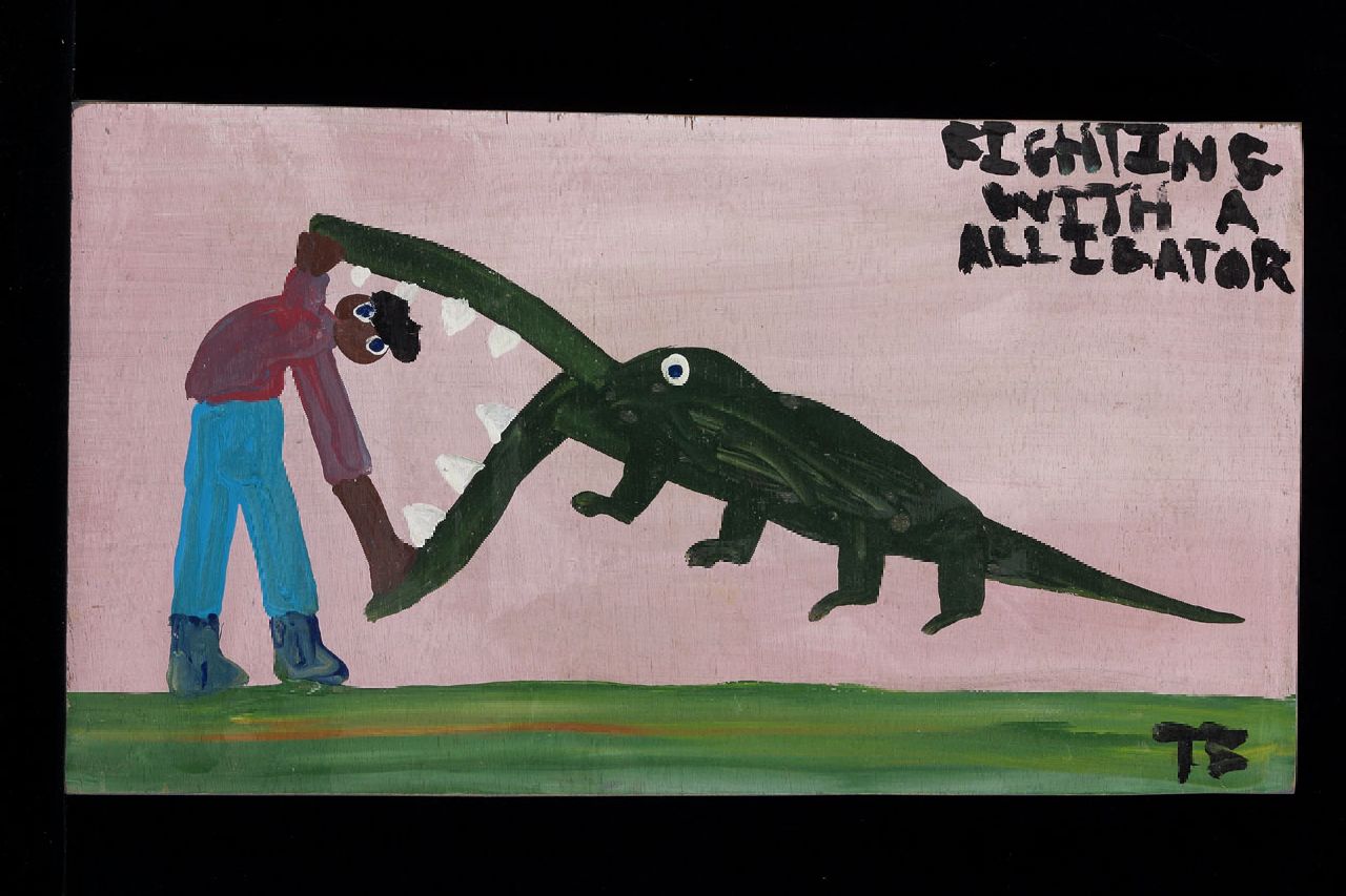Brown T.  | Timothy 'Tim' Brown, Fighting with a alligator, acryl op paneel 28,0 x 51,0 cm, gesigneerd rechtsonder met initialen