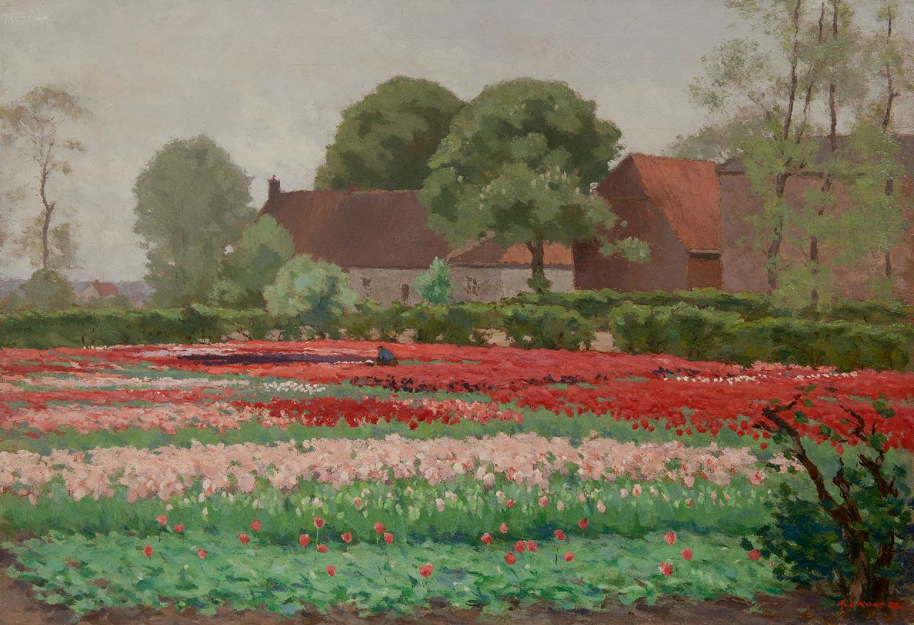 Koster A.L. | Anton Louis 'Anton' Koster, Veld met rode en roze tulpen, olieverf op doek 52,3 x 76,3 cm, gesigneerd rechtsonder Koster A.L. | Anton Louis 'Anton' Koster, Veld met rode en roze tulpen, olieverf op doek 52,3 x 76,3 cm, gesigneerd rechtsonder
