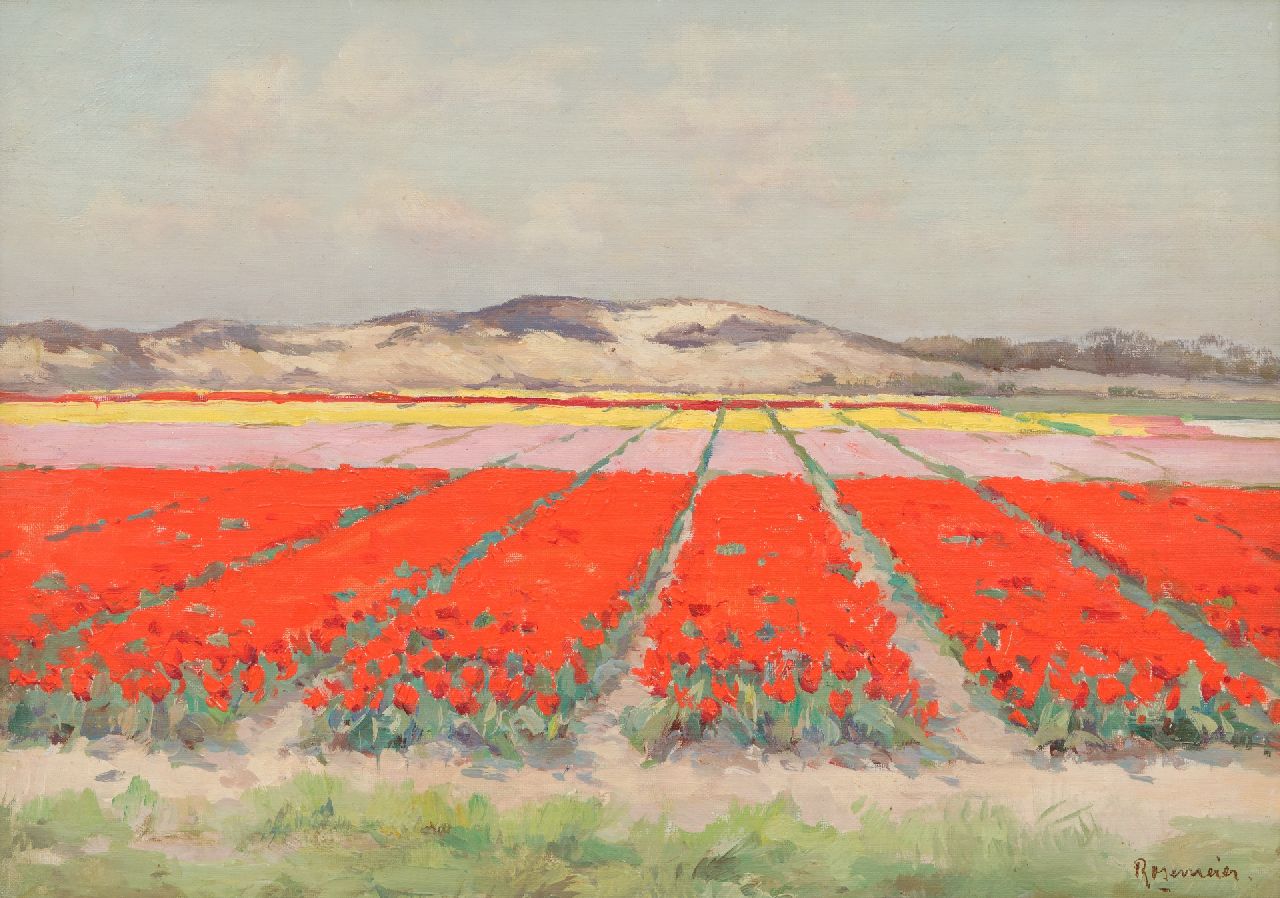 Rosemeier A.C. | Alexander Coenraad 'Alex' Rosemeier, Bollenvelden bij Wassenaar, olieverf op doek 35,1 x 50,0 cm, gesigneerd rechtsonder Rosemeier A.C. | Alexander Coenraad 'Alex' Rosemeier, Bollenvelden bij Wassenaar, olieverf op doek 35,1 x 50,0 cm, gesigneerd rechtsonder