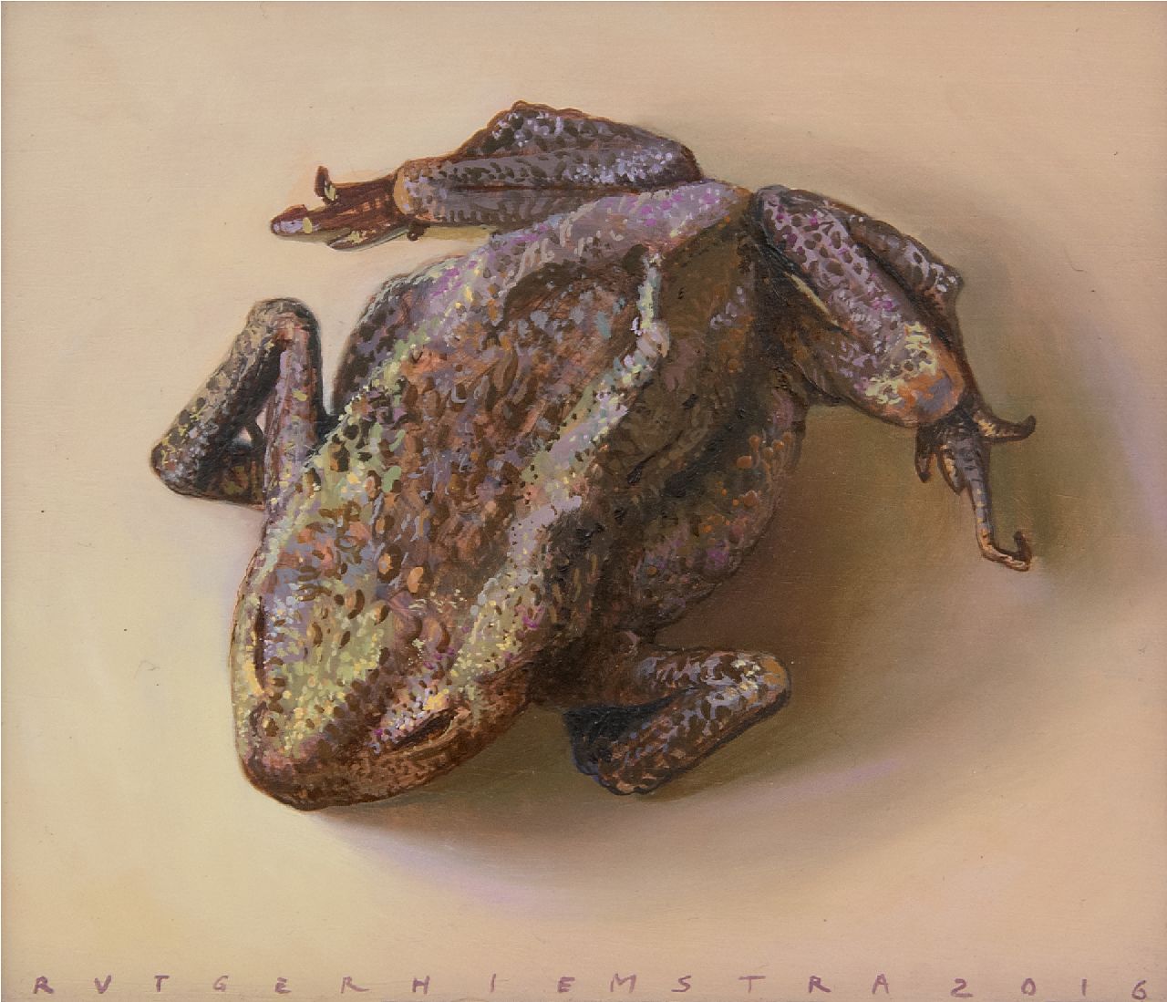 Hiemstra R. | Rutger Hiemstra | Schilderijen te koop aangeboden | Verdroogde pad, olieverf op paneel 10,6 x 12,5 cm, gesigneerd middenonder en gedateerd 2016 Hiemstra R. | Rutger Hiemstra | Schilderijen te koop aangeboden | Verdroogde pad, olieverf op paneel 10,6 x 12,5 cm, gesigneerd middenonder en gedateerd 2016
