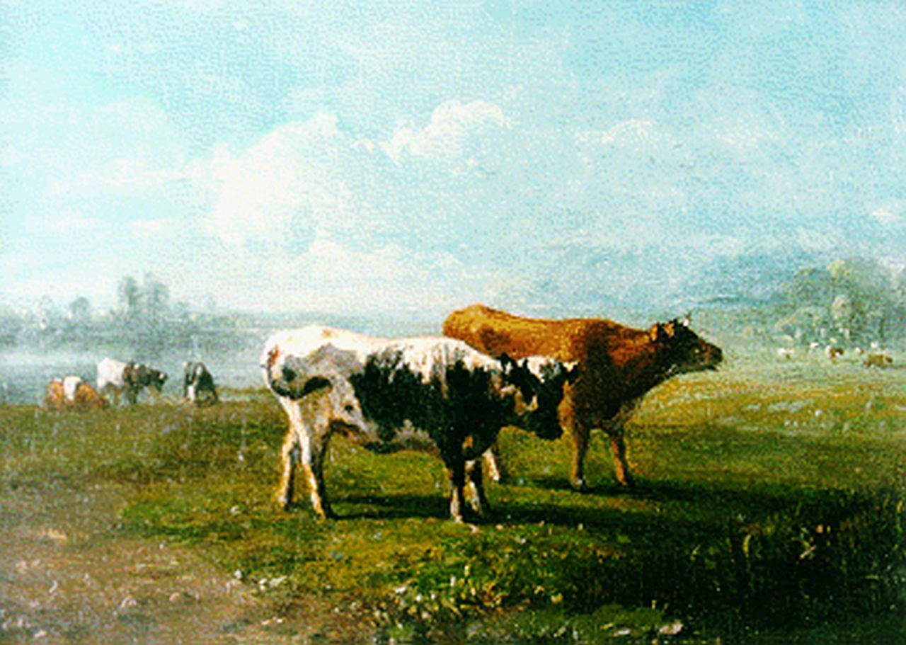 Tom J.B. | Jan Bedijs Tom, Koeien in de weide, olieverf op paneel 13,3 x 18,4 cm, gesigneerd linksonder Tom J.B. | Jan Bedijs Tom, Koeien in de weide, olieverf op paneel 13,3 x 18,4 cm, gesigneerd linksonder