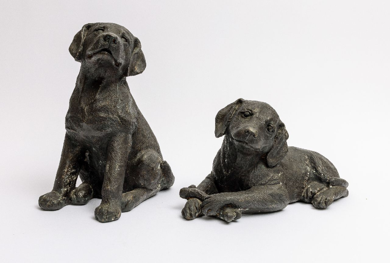 Onbekend   | Onbekend |  te koop aangeboden | Twee Retriever pups