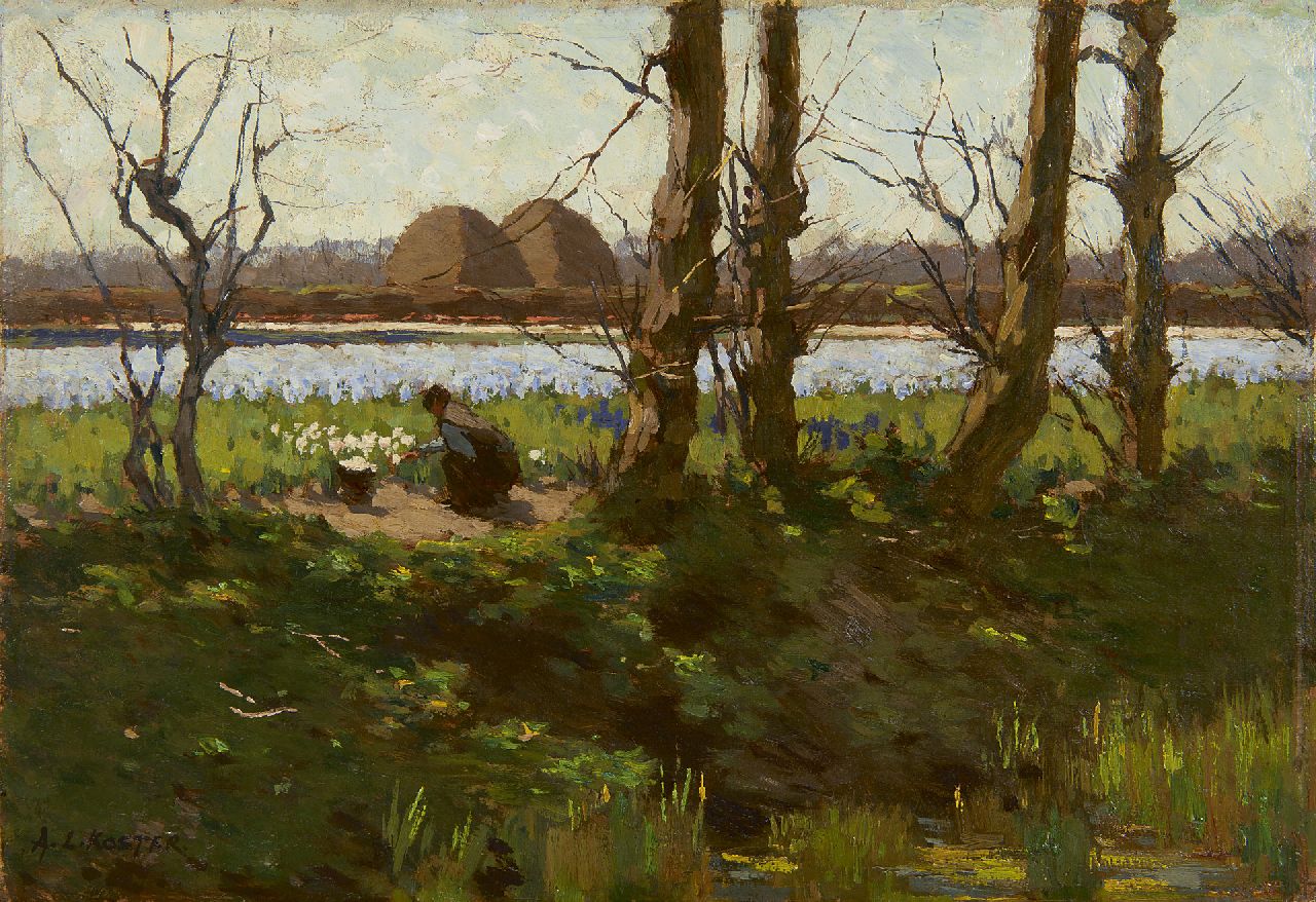 Koster A.L.  | Anton Louis 'Anton' Koster, Tulpen koppen, met op de achtergrond een hyacintenveld, olieverf op doek 31,6 x 45,4 cm, gesigneerd linksonder en gereserveerd