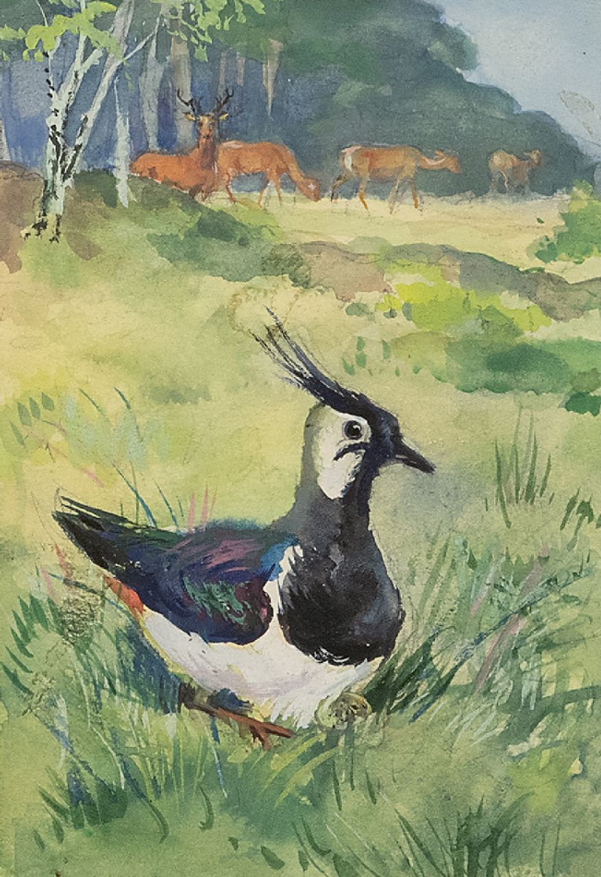 Poortvliet R.  | Rien Poortvliet | Aquarellen en tekeningen te koop aangeboden | Broedende kievit in open wei met reeën, Hoge Veluwe, gouache op papier 13,5 x 9,0 cm